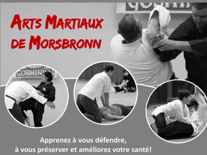 CLUB DES ARTS MARTIAUX