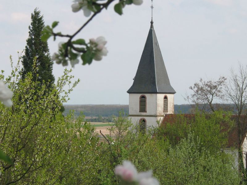 Paroisse protestante